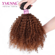 Top Quality Afro Kinky Brazilian Ombre Hair Weave